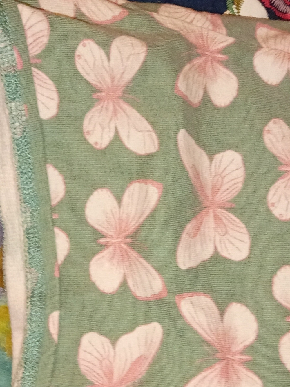 Carter's Pink Butterfly Print on Sage Green Shorts